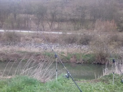 Fränkische Saale (Hammelburg)