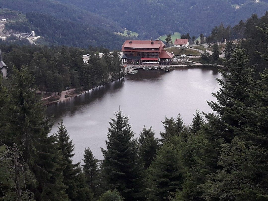 Mummelsee (Seebach) angeln