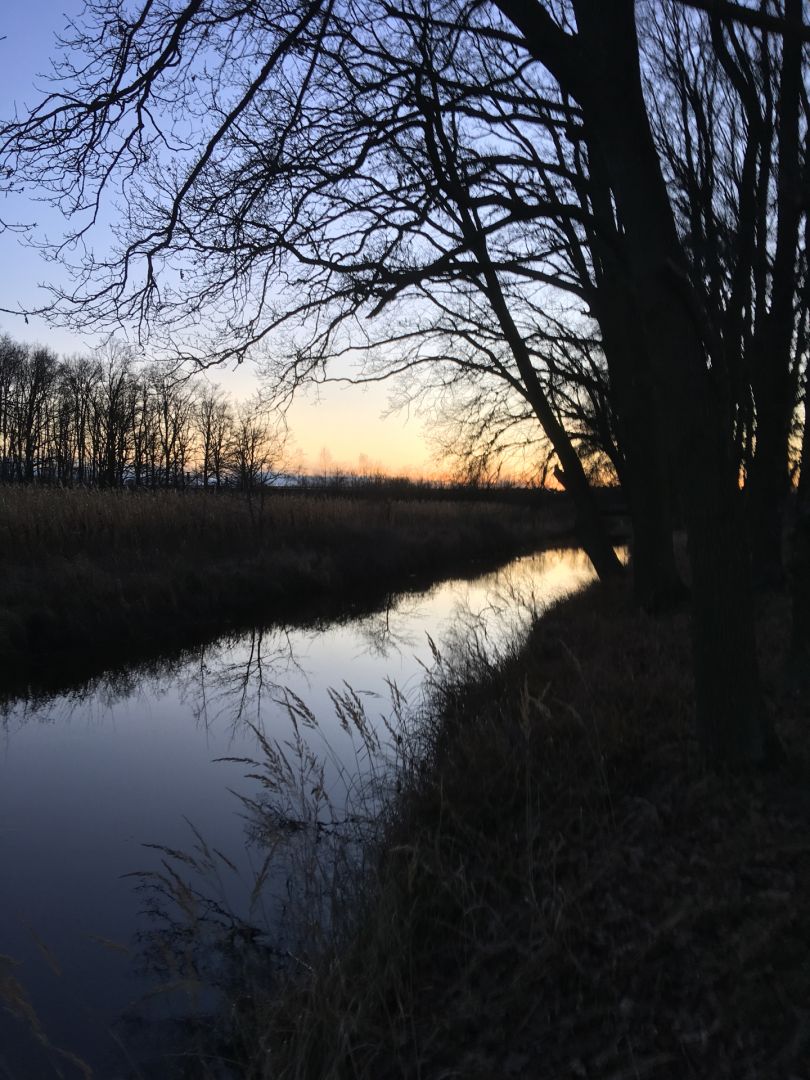 Kleine Aller (Wolfsburg) angeln