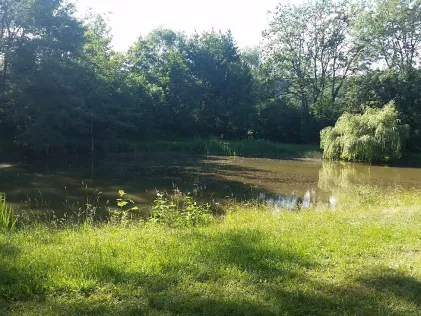 Dorfteich Haynrode