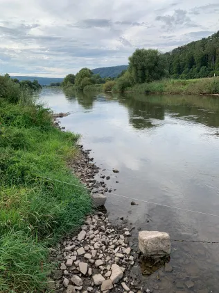 Weser (Reinhardshagen)