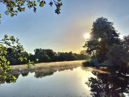 Reihersee (Brietlingen)