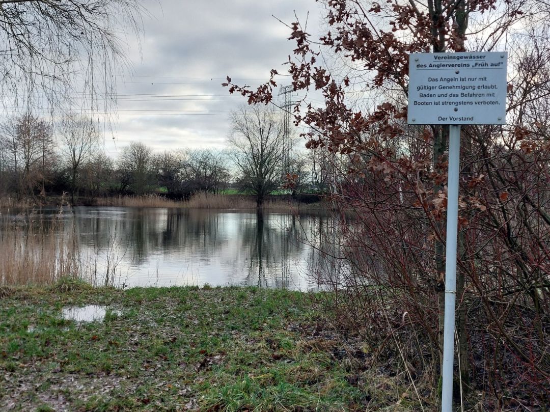 Vereinsteich Früh Auf Hagenow angeln