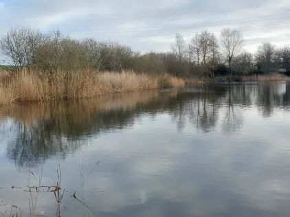 Vereinsteich Früh Auf Hagenow