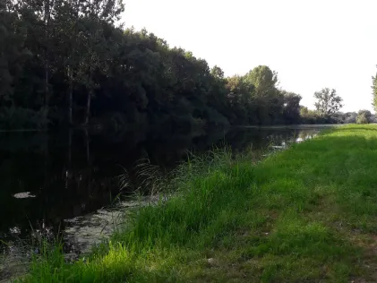 Leopoldskanal