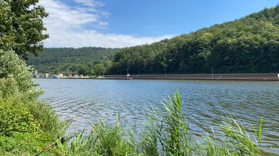 Neckar (Neckargerach)