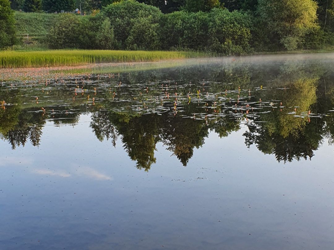 Mittlerer Zechenteich (Clausthal-Zellerfeld) angeln