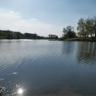 Steinhafen Pretzien