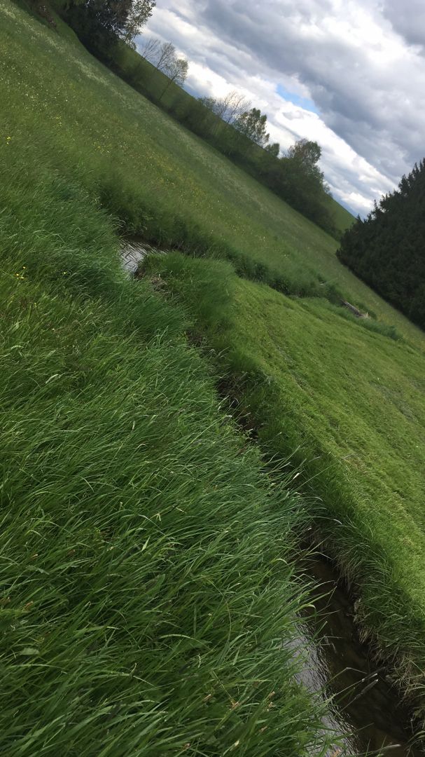 Große Rodl angeln