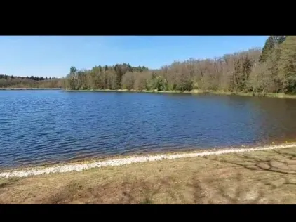 Großer Hofsee (Aisch)
