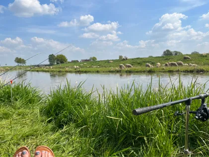 Hunte (Hunteburg-Ochsenmoor)