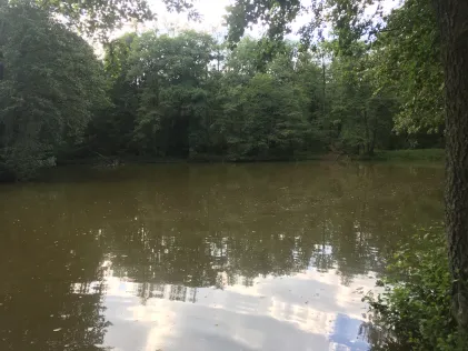 Abtissenweiher