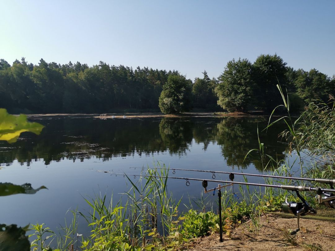 Vierhöfen (ASV Harburg-Wilhemsburg) angeln