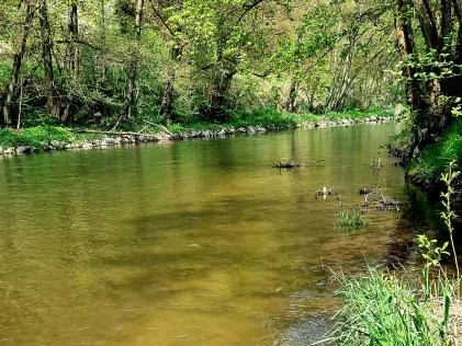 Werra (Wernshausen)