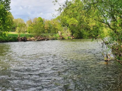Werra (Wernshausen)