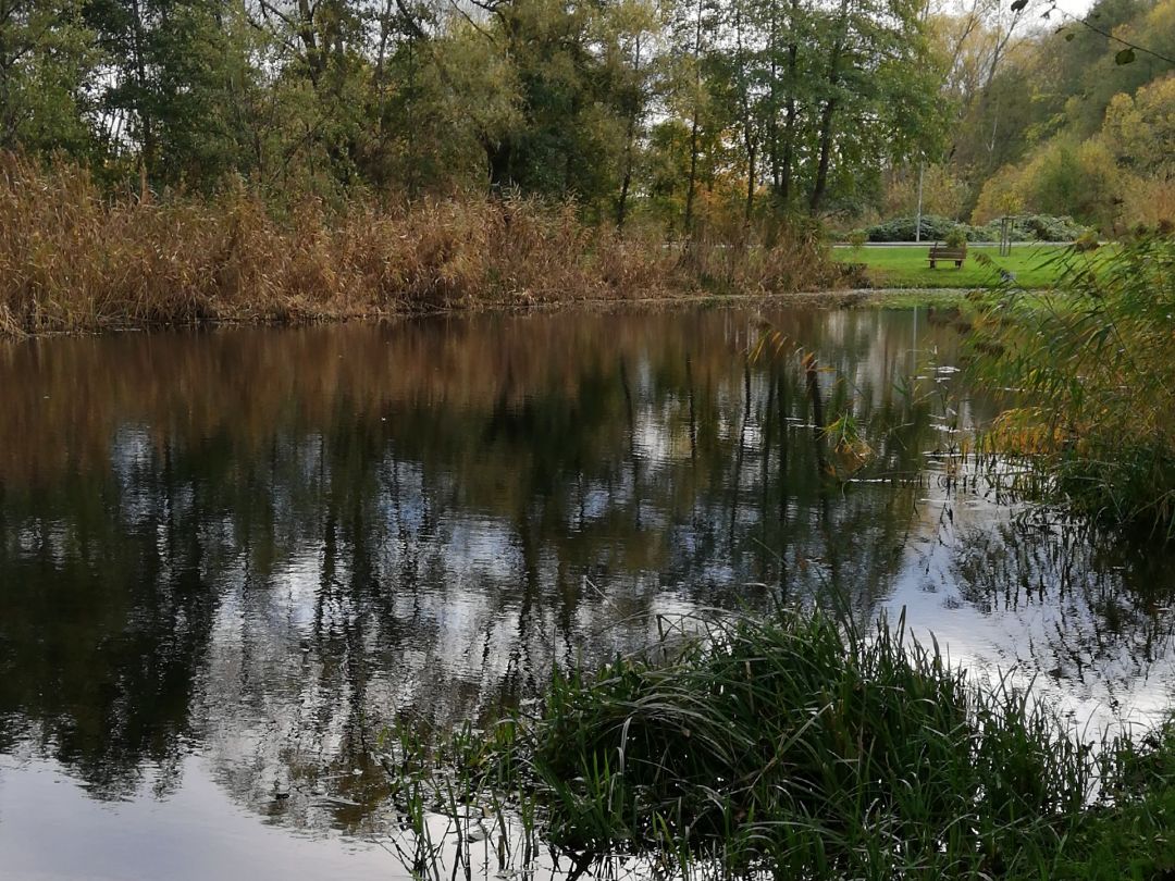 Mühlenteich (Klein Teetzleben) angeln