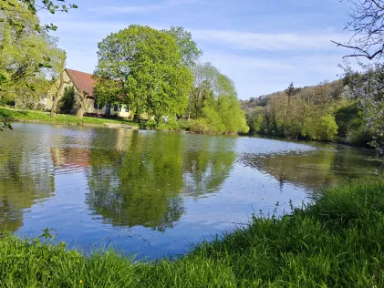 Kocher (Sindringen)