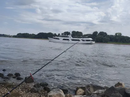 Rhein (Zons)