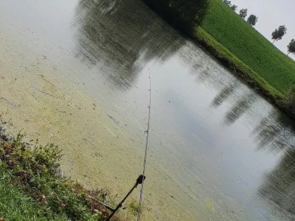 Breitlohsee