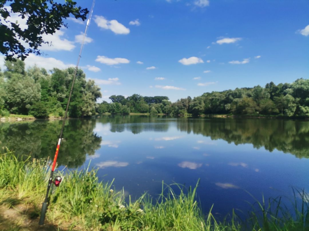 Baggersee Gänskopf angeln