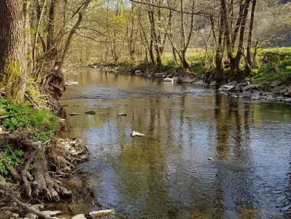 Lahn (Bad Laasphe)
