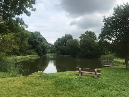 Dorfteich Kaltohmfeld