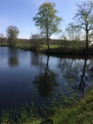 Teich Bokelesch 