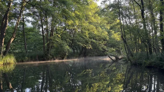 Verbindungskanal Dabelowsee-Brückentinsee
