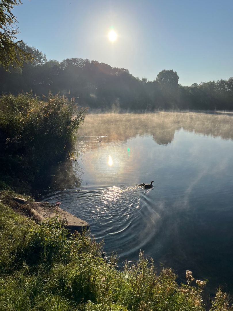 Großer Moorsee (Pfungstadt) angeln