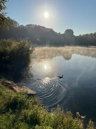 Großer Moorsee (Pfungstadt)