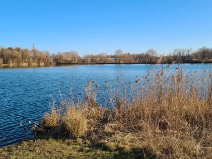 Niederneuching Neu