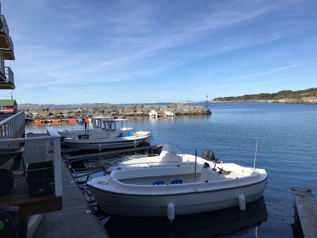 Hellesøy angeln