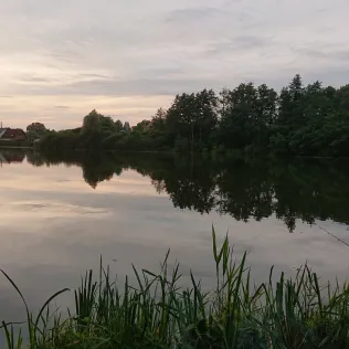 Lenensruher Teich