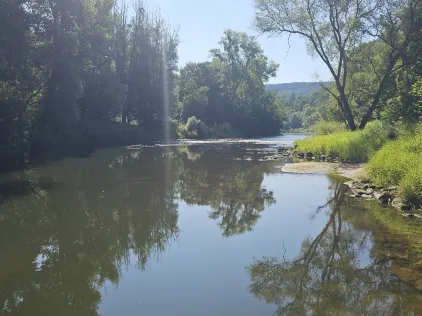 Sauer (Bollendorf)