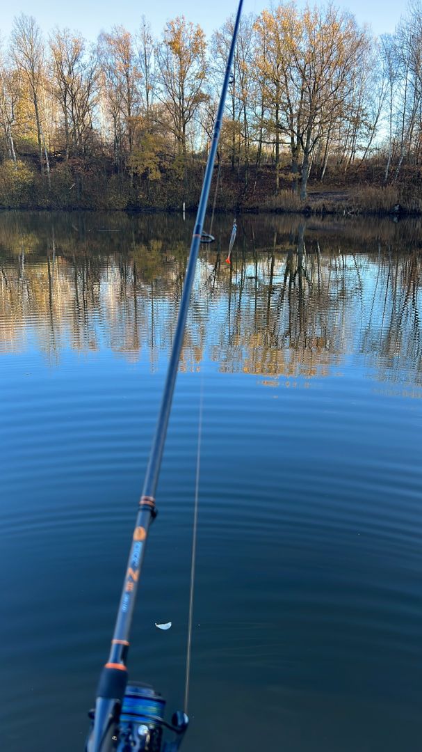 Irmerteich (Zittau) angeln