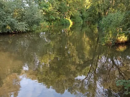 Günz (Kötz)