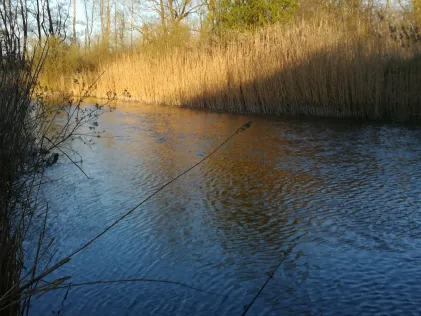 Dahmer Kanal