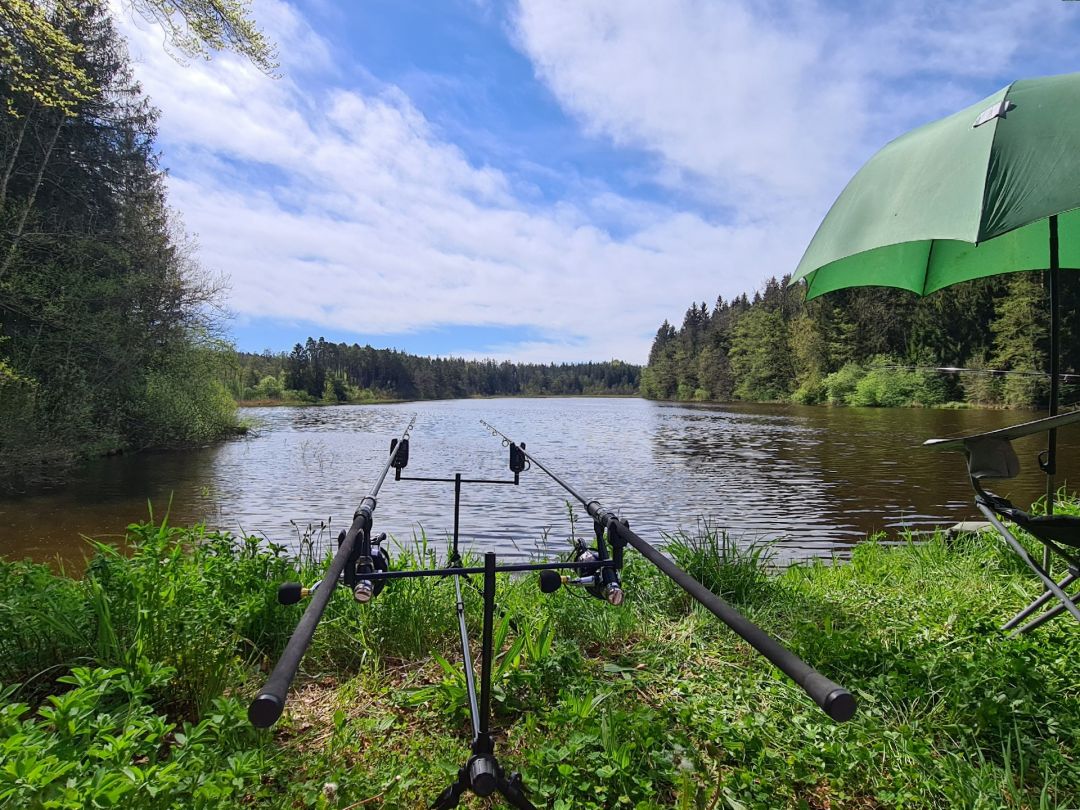 Neusee (Bernried) angeln