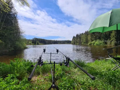 Neusee (Bernried)