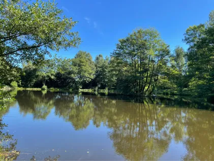 Weiher Beuren