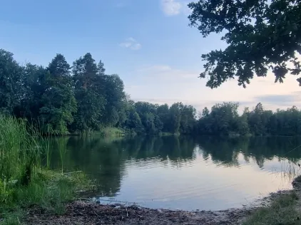 Belicker See