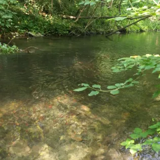 Sickergraben Isar 1 (rechts)