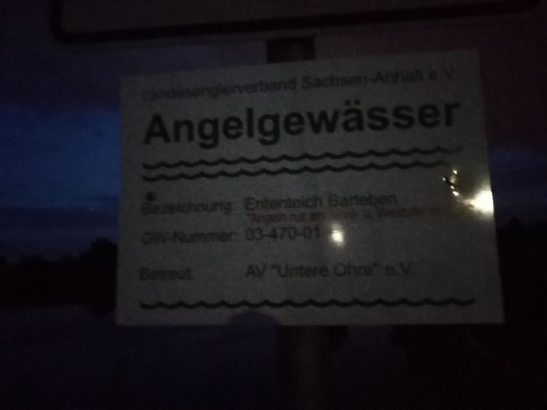 Ententeich (Barleben) angeln