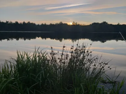 Langholter Meer