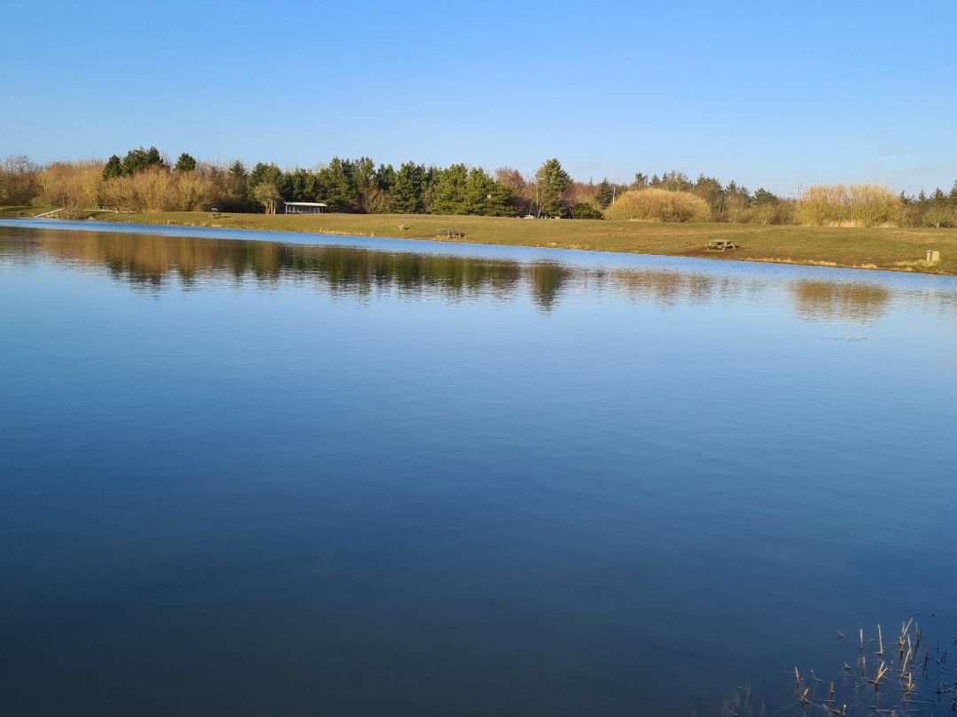 Vrøgum Fiskesø angeln