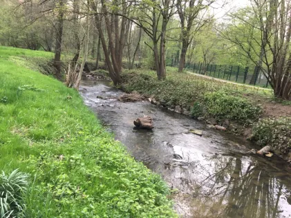 ASV Schwarzbachtal