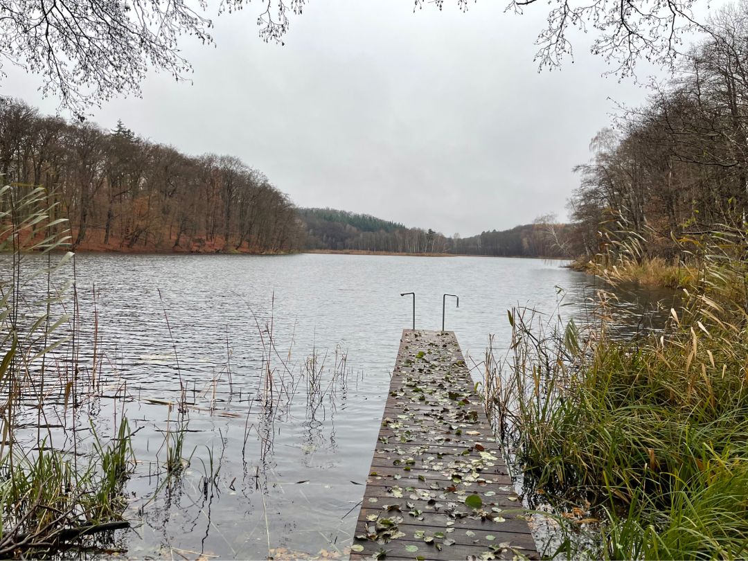 Großer Rathsburger See angeln