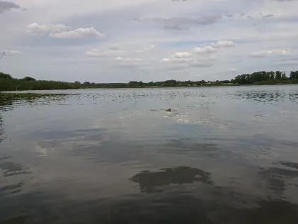 Krummer See (Wattmannshagen)