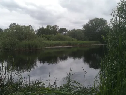 Pfaffenteich (Güstrow)