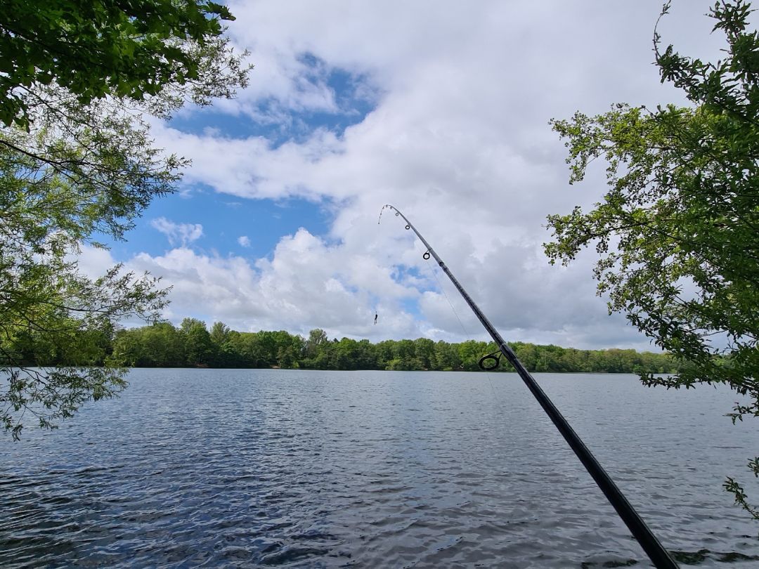 Wambachsee (Duisburg) angeln